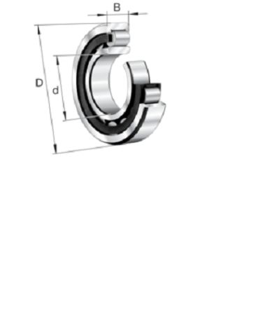 FAG Rollenlager Typ Zylindrisch, Innen-Ø 55mm / Außen-Ø 100mm, Breite 25mm