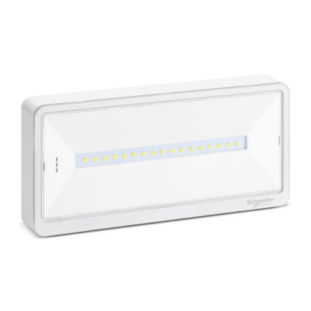 Schneider Electric LED Notleuchte, 230 V AC / 700 MW 15 Lm, 229 Mm X 112 Mm X 32 Mm, IP42