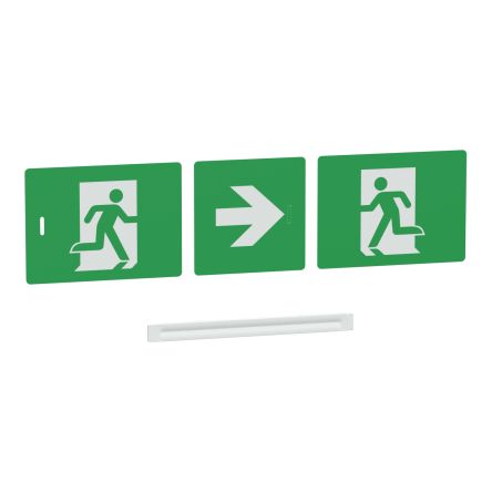 Schneider Electric Englisch PVC Schild Notausgangsschild, Exit Sign