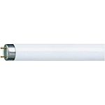 18865  Tube fluorescent Philips Lighting, 18 W, 600mm T8, 6500K
