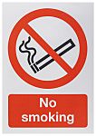 Polyester No Smoking Prohibition Sign, No Smoking, English