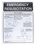 First Aid Safety Wall Chart, Plastic, English, 400 mm, 300mm