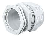 SIB SIB-TEC Series Grey PA 6 Cable Gland, M50 Thread, 24mm min., 38.5mm max., IP68