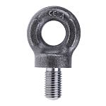 RS PRO Carbon Steel Eye Bolt, M20 Thread, 27mm Thread Length, 27mm Internal Eye Diameter, 59mm Outer Eye Diameter, 1.6t