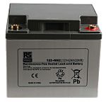 RS PRO 12V T6 Sealed Lead Acid Battery, 42Ah