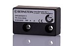 Bernstein AG Standard Actuator (Magnet) for Use with Magnetic Switches