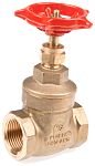 RS PRO Pirinç Şiber Vana (Gate Valve), 3/4 inç BSPT, 20 bar