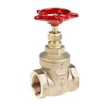 RS PRO Pirinç Şiber Vana (Gate Valve), 1 inç BSPT, 20 bar