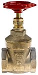 Pegler brass gate valve,1 1/4in BSPT F-F