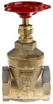 RS PRO Gate Valve, 1-1/4in