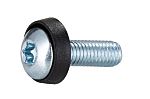 Rittal M5 Machine Screw x 16.0mm
