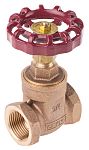 RS Pro Bronz Şiber Vana (Gate Valve), 3/4 inç BSPT, 20 bar