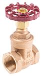 RS PRO Bronz Şiber Vana (Gate Valve), 1 inç BSPT, 20 bar