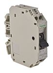 Schneider Electric Thermal Circuit Breaker - GB2 1P + N Pole 250V ac Voltage Rating DIN Rail Mount, 1A Current Rating