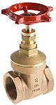 RS PRO Bronz Şiber Vana (Gate Valve), 1,5 inç BSPT, 20 bar