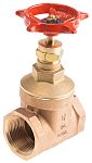 RS PRO Bronz Şiber Vana (Gate Valve), 1,25 inç BSPT, 20 bar