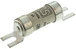 RS PRO 2A British Standard Fuse, A1, 550V ac, 44.5mm