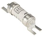 RS PRO 10A British Standard Fuse, A1, 550V ac, 44.5mm