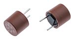 RS PRO PC Board Non Resettable Fuse, Radial 6.3A, 250V ac