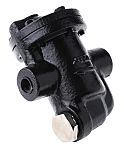 RS PRO 12 bar Iron Inverted Bucket Steam Trap, 1/2 in BSP Female