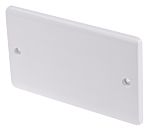 double gang BS std blank plate white