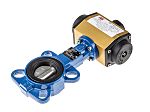 RS PRO Butterfly type Pneumatic Actuated Valve 2in