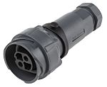 PXP7011/02S/ST/1113