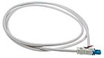 STEGO LED 025 Series LED Enclosure Light Cable, 48 V dc, 2 m Length, 5 W