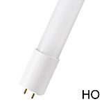 Bailey Electric & Electronics bv GLS Lamp