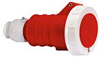 Bals Connector