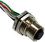 RS PRO Straight Female 12 way M12 to Unterminated Sensor Actuator Cable, 100mm