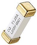 RS PROSMD Non Resettable Fuse 1.25A, 250V