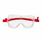 3M 4800 Safety Goggles with Clear Lenses