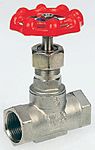 S/steel AISI globe valve,2in BSP F-F