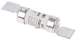 RS PRO 2A British Standard Fuse, F1, 550V ac