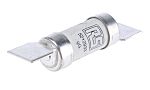 RS PRO 20A British Standard Fuse, F1, 550V ac