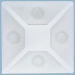 thumbnail-R629251-01