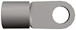 thumbnail-R6691845-01