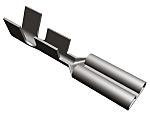 thumbnail-R6692484-01