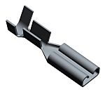 thumbnail-R6692501-01