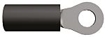 thumbnail-R6805662-01