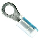 thumbnail-R7313182-01