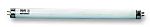 GlassGuard 8 W Fly Killer Light, 300 mm, Linear, Shatterproof / Fragment Retention