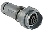 PXP7011/06S/ST/0709