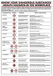 Dangerous Substances Safety Wall Chart, PP, English, 600 mm, 420mm