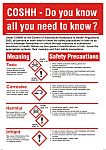 COSHH Safety Wall Chart, PP, English, 600 mm, 420mm