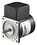 DKM Reversible Induction AC Motor, 25 W, 1 Phase, 4 Pole, 220 V, 240 V