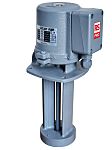 RS PRO Cast Iron 3/8in Sud Pumps
