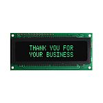 NEWHAVEN DISPLAY INTERNATIONAL M0216SD-162SDAR2-1 VFD Display 5 x 8 Dot Matrix 2 Rows x 16 Char. ASCII, Japanese 