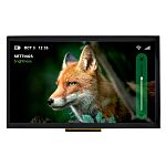 NEWHAVEN DISPLAY INTERNATIONAL NHD-10.1-1024600BF-LSXP-CTP IPS TFT TFT LCD Display / Touch Screen, 10.1in WSVGA, 1024 x